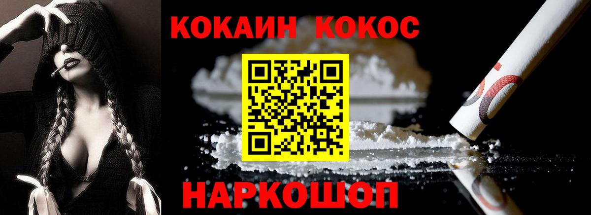 хочу   Вход с VPN  Новозыбков  COCAIN Fish Scale  COCAIN 97% 