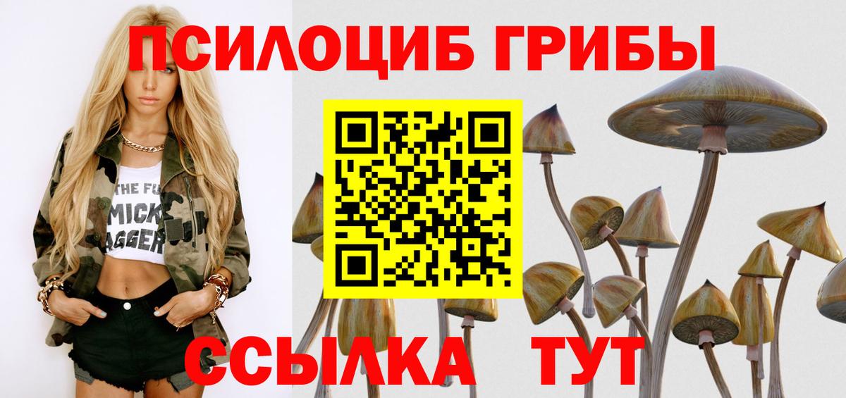 Псилоцибиновые грибы ЛСД Новозыбков