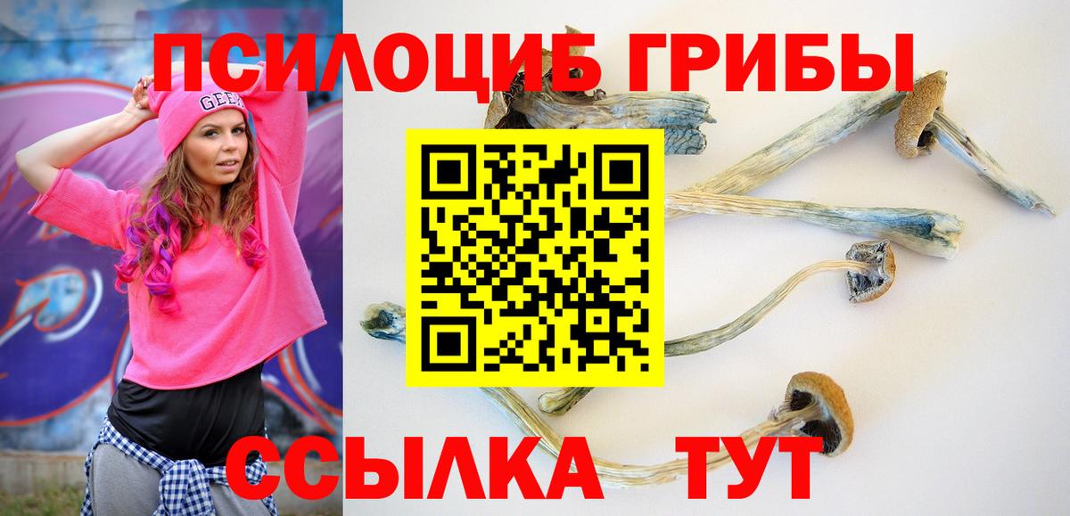 Новозыбков  Псилоцибиновые грибы Magic Shrooms  Вход с VPN 